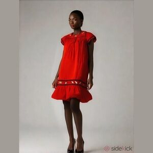 Cabernet ruffle hem frogs house dress red mini micro oversized ladybugs granny